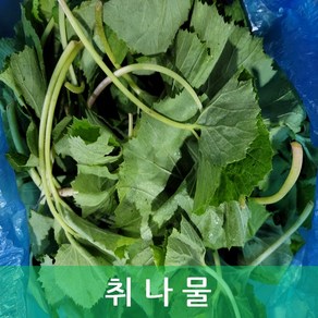 취나물 4kg 내외 1관 포대 국내산 야채맘, 1개