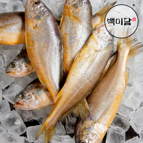 국내산 반건조 참조기, 1세트, 12미(1440g내외)