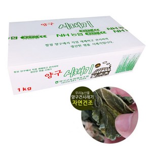 강원도 양구시래기1kg 자연건조 2025 햇시래기, 1개, 1kg