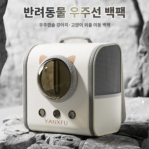 아롱이네 반려동물 고양이 강아지 외출 이동 가방 백팩 P-002, 1개, 사진색상