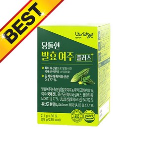 당돌한 발효 여주 플러스 30포 1박스, 63g, 1개