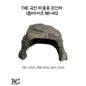 THE 극진 파충류 은신처 (중)사이즈 NR-H12, 1개