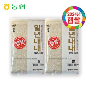 [24년햅쌀] 대야농협 상등급 일년내내 쌀, 2개, 2kg