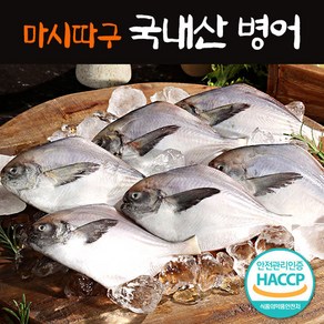 국내산 마시따구 손질 병어 10마리 진공포장 냉동, 단품, 단품