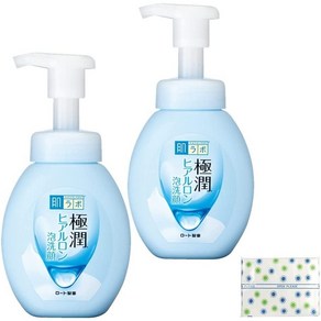 하다라보 고쿠쥰 포밍워시 폼클렌징 리뉴얼제품, 160ml, 2개