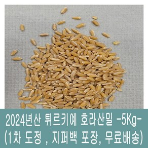 [다온농산] 수입 호라산밀 -5Kg- 1차 도정 품질 좋고 저렴한 튀르키예산, 1개