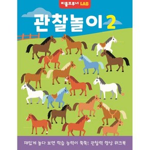 관찰놀이 2: 재밌게 놀다 보면 학습 능력이 쑥쑥 관찰력 향상 워크북, 리틀브루너