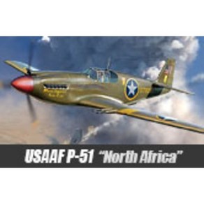 아카데미 1/48 미육군항공대 USAAF P-51 North Africa 북아프리카 전선 12338 항공기 비행기 취미 하비 밀리터리