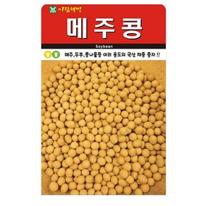 메주콩 씨앗 종자 씨, 2개
