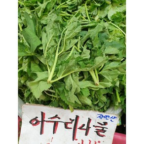 [자연산] 어수리나물 1kg 생채 어수리, 1개