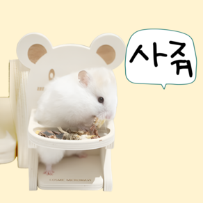 [BEST] 코스믹 마이크로웨이브 식탁 의자 골든 드워프 햄스터, 1개, 골든용