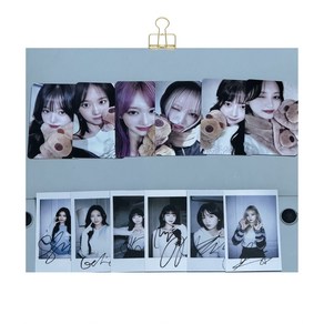 [이브포카월드]아이브 엠파시 포카 마인 이즈위 미공포 카피바라 폴라 포토카드 포카 12종 세트