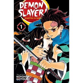 Demon Slaye: Kimetsu No Yaiba Vol. 1, Viz Media, Gotouge, Koyohau, 9781974700523, Demon Slaye