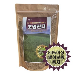 잔디씨앗 한국형잔디 400g 산소 정원 묘지 잔디씨, 1개