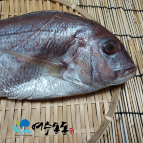 도미/참돔 국내산 34cm 내외 500g내외 아시비 믹스간장 증정, 1개, 450g