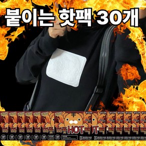 로수어 따뜻HOT팩 옷에 붙이는 포켓형 핫팩 42.5g (30개)