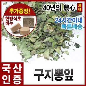 자애인 국산 꾸지뽕 잎 1200g 구찌뽕 꾸찌뽕 경북영천, 1개, 1.2kg