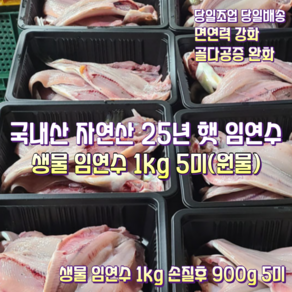 [산지직송] 국내산 자연산 주문진.속초 새벽조업한 생물 임연수 1kg 5미(원물). 새벽조업한 생물 임연수 1kg 손질후 900g 5미, 1박스