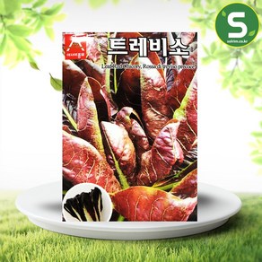 솔림텃밭몰 적치커리씨앗 1500립 트레비소치콘 붉은색 치커리, 1개