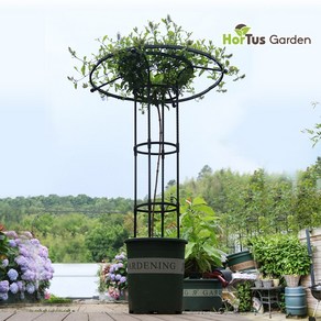 오벨리스크 장미아치 우산 넝쿨식물지지대 블랙 90cm, 1개