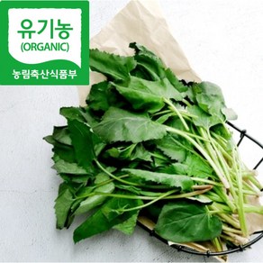 100%유기농 당일수확 산지직송 생 취나물, 1개, 1kg