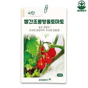 다농 빨간조롱방울토마토 씨앗 50립 씨 종자, 1개