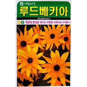 루드베키아 꽃씨앗 1000립, 1개