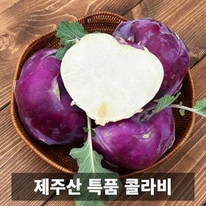 초특가 산지직송 국내 제주산 특품 콜라비, 1개, 10kg