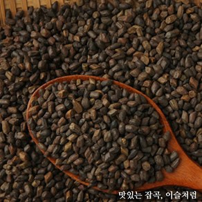 이슬처럼 인도산 결명자 500g, 1개