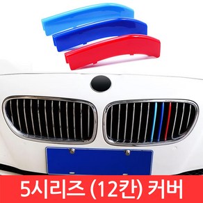 SIJIN BMW 5시리즈 M그릴 12칸 커버 F10 3색 클립 몰딩 528i 퍼포먼스 가니시 튜닝