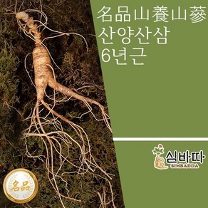 산양산삼 6년근 5뿌리 장뇌삼 세트 명절 산양삼 산삼 인삼 추석 선물