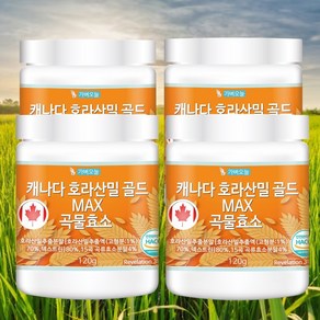 가벼오늘 캐나다 호라산밀 골드 효소, 120g, 4개