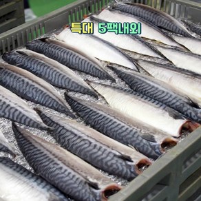 167농수산 노르웨이 고등어 1kg (5팩) 여수 가공 배송, 1개