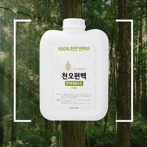 국내산 피톤치드 편백수 10리터 탈취 냄새제거, 10L, 1개