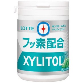 LOTTE 롯데 자일리톨껌 불소 페퍼민트 슬림병 125g