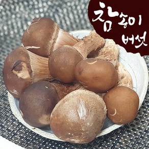 [푸른들] 참송이버섯 500g (사이즈랜덤), 1개