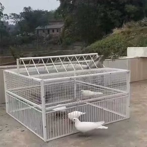 까치 사냥 포획틀 도어 케이지 비둘기 조류 까마귀 트랩 철장 새덫 철망, 1개, 1. 흰색 40x30cm 2인치