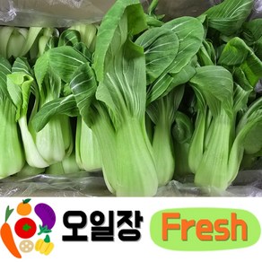 ( 오일장프레시 1호점 ) 국내산 청경채 2kg 4kg 내외 마라탕 샤브샤브 동파육 용, 1박스