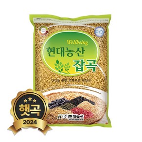 현대농산 국산 찰기장 2kg