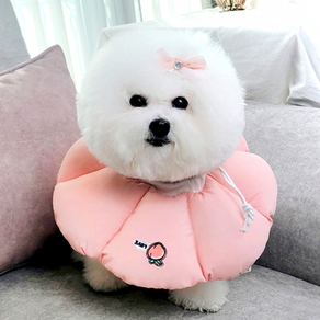 강아지넥카라 완전방수 고양이 넥카라 애견 깔대기 자수방수넥카라, 자수방수핑크, 1개
