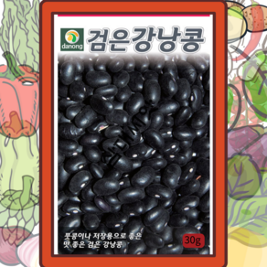 검은강낭콩씨앗 30g 비덩굴성, 렌틸콩10g, 1개