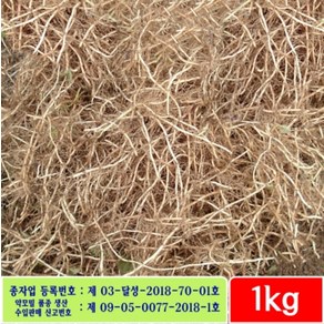 어성초뿌리 1kg - 잘키운 국산 어성초생뿌리