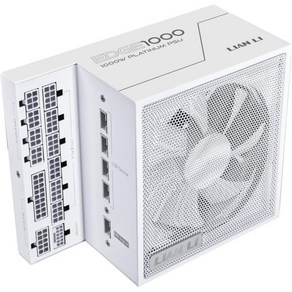 Lian Li PC 파워 ATX 리안 리 엣지 시리즈 1000W 풀 모듈형 전원 공급 장치 80 플러스 플래티넘 3.0 3.1 PCIE 5.1 L자형 듀얼 챔버 케이스 120m