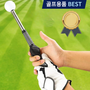 [버디데이] 실내 골프스윙연습도구 연습 스틱 임팩트 비거리, 검정, 1개