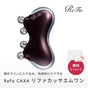 ReFa CAXA M1 리파 카사 M1 RF-XM2341B-V, 1개