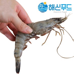 블랙 타이거 얼룩 새우 (냉동) 500g, 블랙타이거 얼룩새우 500g 10미, 1개