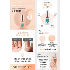 독일정품 마이크로셀 2000네일 파워 손톱영양제 손톱강화제 +손팩 증정, 1개, 12ml