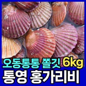 최상품질 홍가리비 통영 제철 가리비 핏시드, 1개, 6kg(150미 내외)