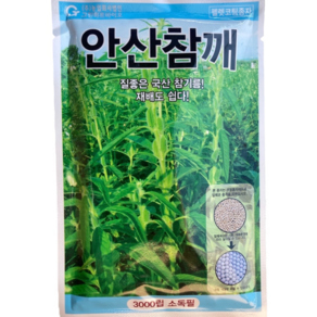 안산참깨씨앗 3000립 그린하트바이오 펠렛코팅, 1개