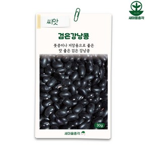 다농 검은강낭콩씨앗 30g 강낭콩 비넝쿨성 씨 종자, 1개